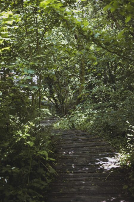 Glamping holidays across England