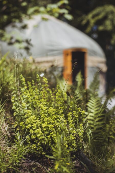 Glamping holidays across England